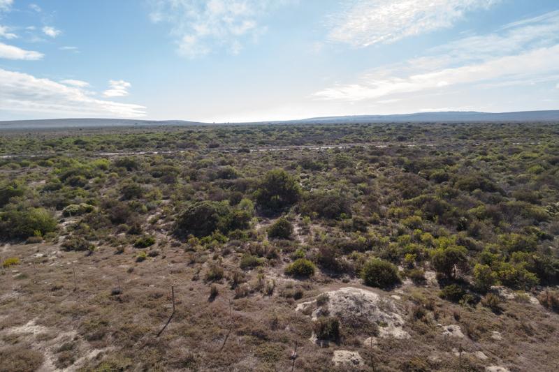 0 Bedroom Property for Sale in Saldanha Industrial Western Cape